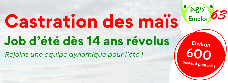 Agri Emploi 63 - Jobs saisonniers – Été 2026